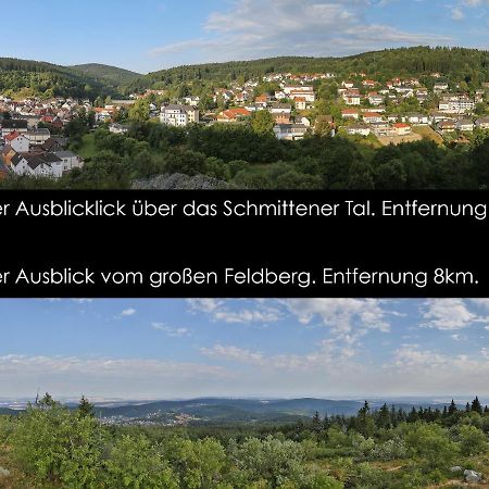 Taunusblick-Meissner Schmitten Exteriör bild